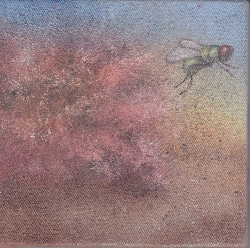 Die Fliege und die Ewigkeit 5, 10x10 cm